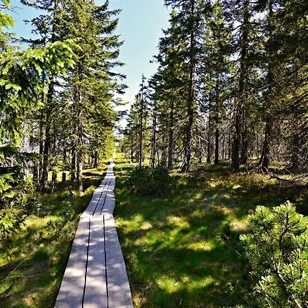 Alpesi faház Pardubicke Boudy