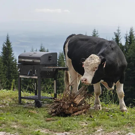 Alpesi faház Pardubicke Boudy *