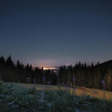 Alpesi faház Pardubicke Boudy *